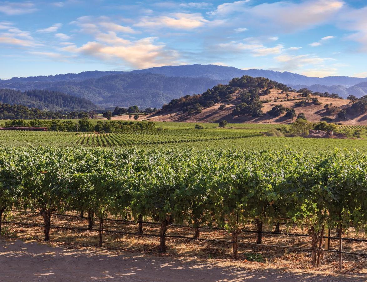 Vino Bello Resort (Adults Only) Napa Zewnętrze zdjęcie